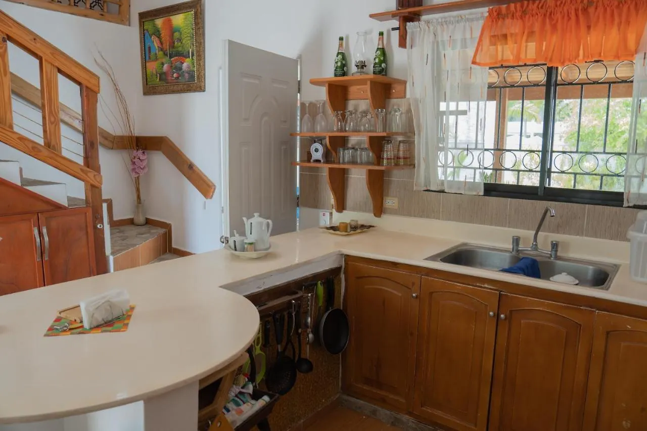Holiday home Villa Rosandri Bayahibe